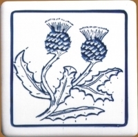 Scottish Thistle Meaning