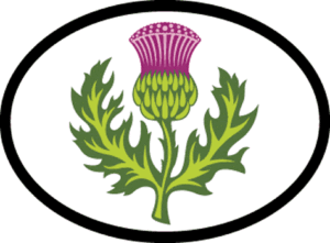 Thistle Sticker | Celtic Attic