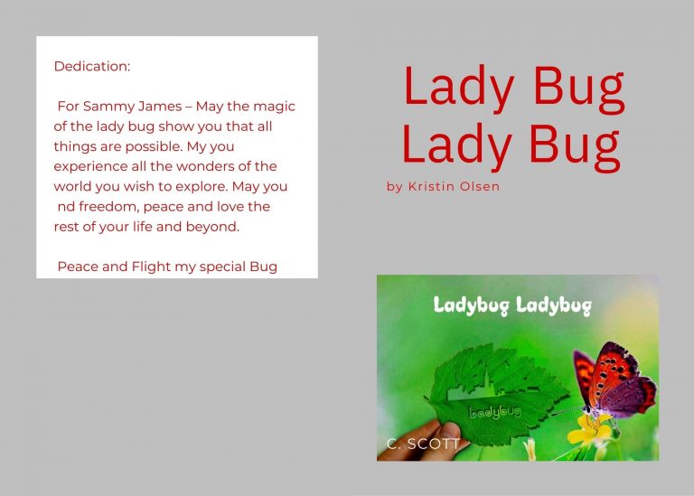 Lady Bug Lady Bug - Image 2