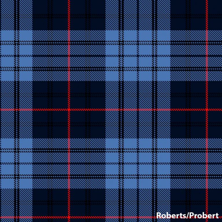 Welsh Tartan Sash - Image 5